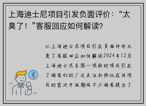 上海迪士尼项目引发负面评价：“太臭了！”客服回应如何解读？