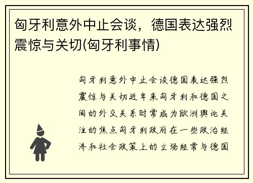 匈牙利意外中止会谈，德国表达强烈震惊与关切(匈牙利事情)